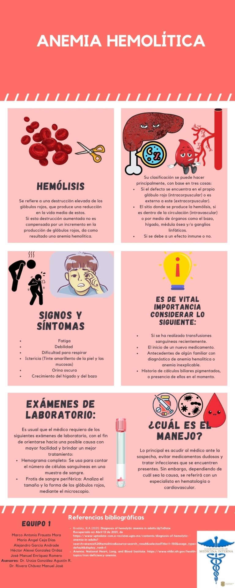 Causas De Anemia Hemolitica Actualizado Junio 2024 